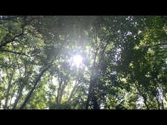 ブルーツゥーススピーカー用電源 192WH リチウム鉄リン酸電池